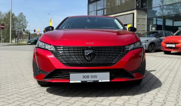 Peugeot 308 SW 4619 (2)