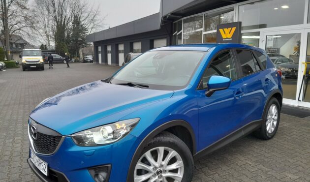 * AWD * Atrakcyjny wygląd * Bose *