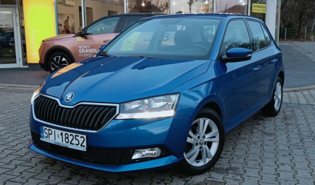 1Wł, Polski salon, Serwis ASO, Bezwypadkowy