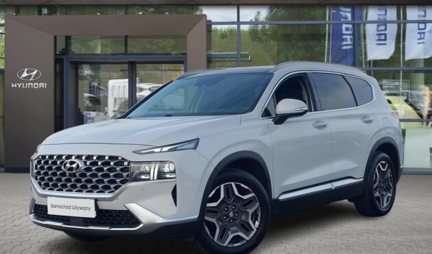 1.6 T-GDI 230KM HEV Platinum 4WD aut