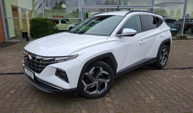 Krajowy, 1-szy właściciel, serwisowany w A.S.O.