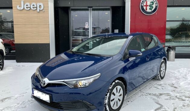 Salon Polska 1 Właściciel Bezwypadkowy