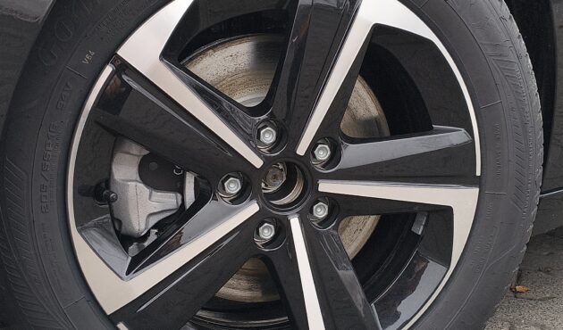 IMG_20260204_151700076