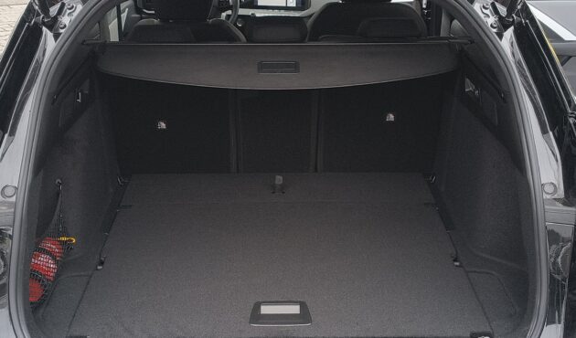 IMG_20260204_151930535