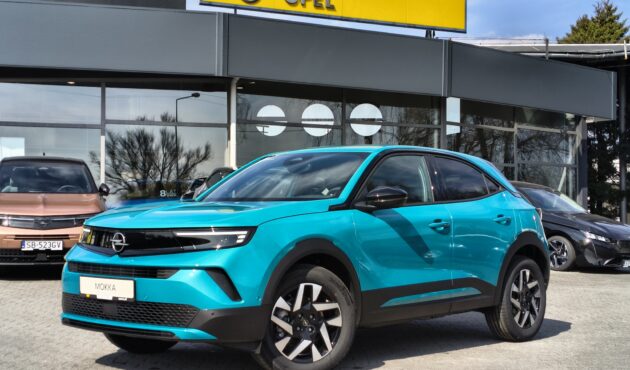 / Business Edition / Zielony Tropikal / Hybrid / Od ręki