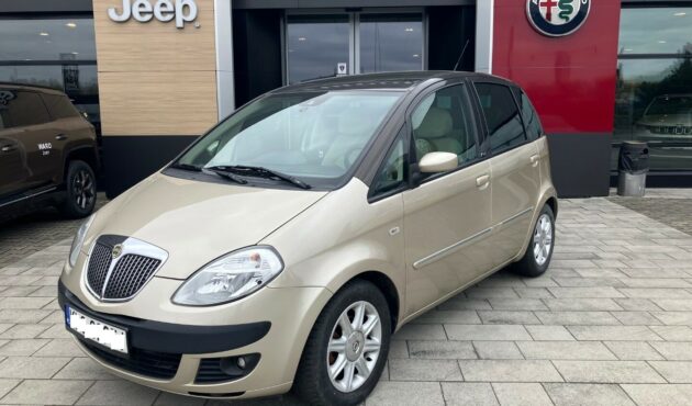 PLATINUM Przeszklony Dach Klima Skóry Metalic Parktronic