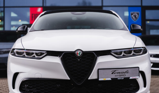 alfa-romeo-tonale-zblizenie-na-srodek-scudetto-reflektory-bielsko-biala-waro
