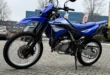 image (6)